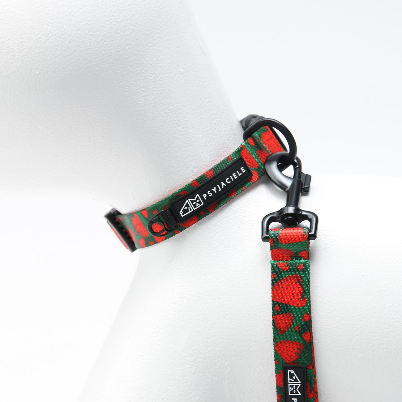 Dog or cat collar "Strawberry Fields Forever"