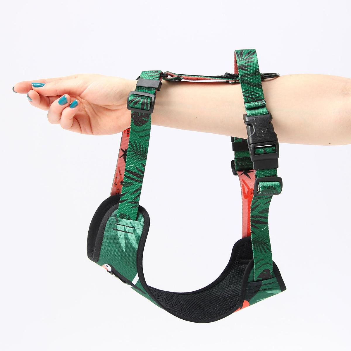 "Welcome to the jungle" pressure-free harness