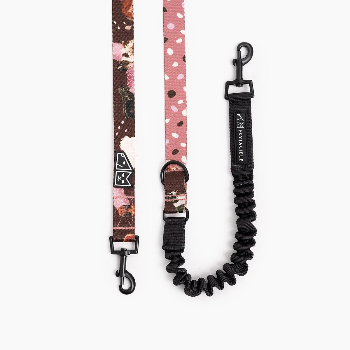 "Too sweet to handle" leash with a shock absorber