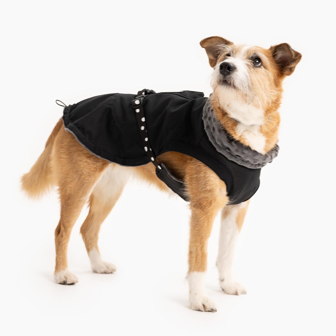 Dog jacket "Adopt the dot"