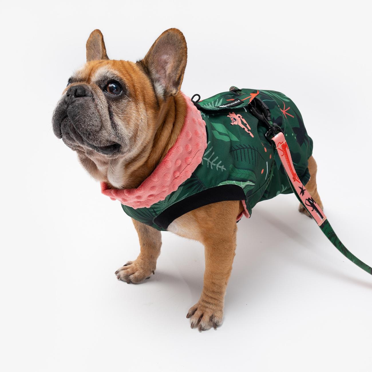 Dog jacket "Welcome to the jungle"