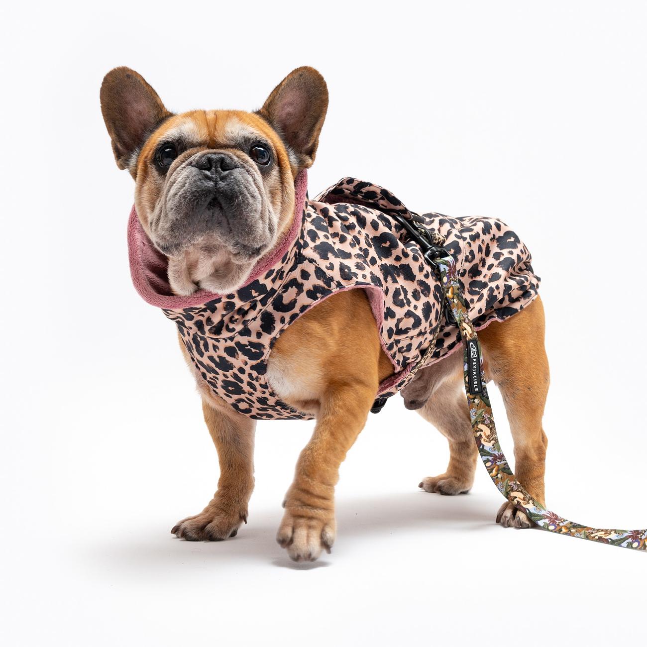 Dog jacket "Respect the wildness"
