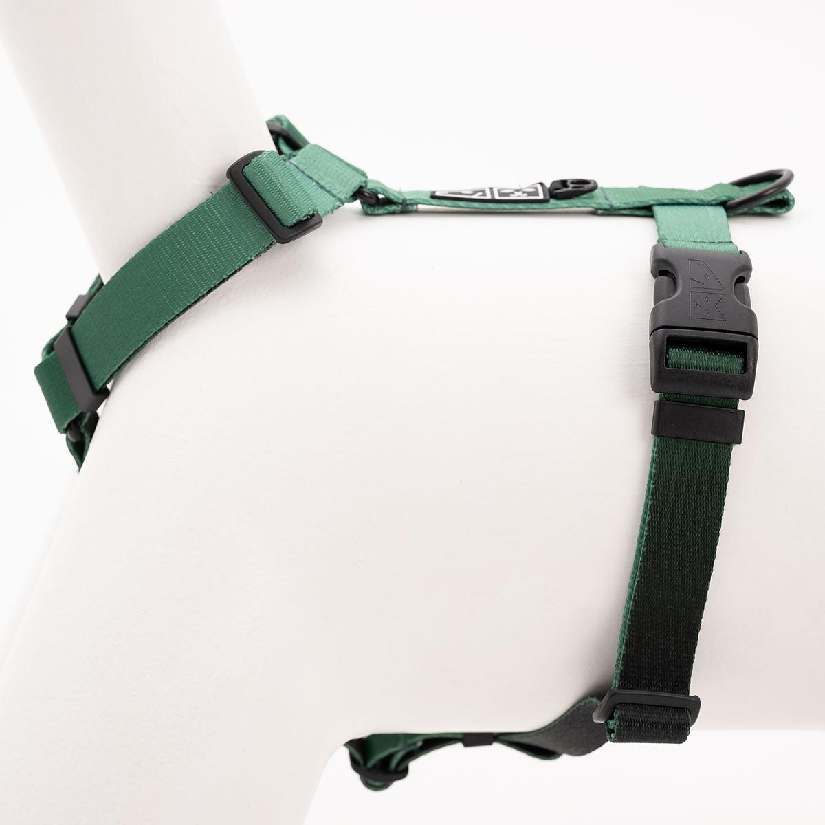 Dog or cat guard harness "Under my ombrella" green 