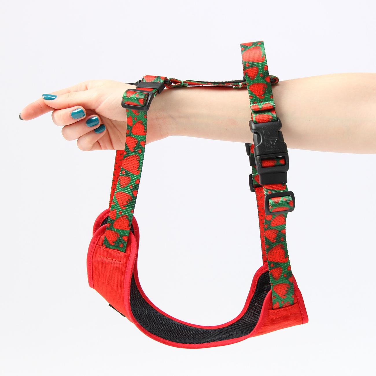 Stay-on pressure-free harness "Strawberry Fields Forever"