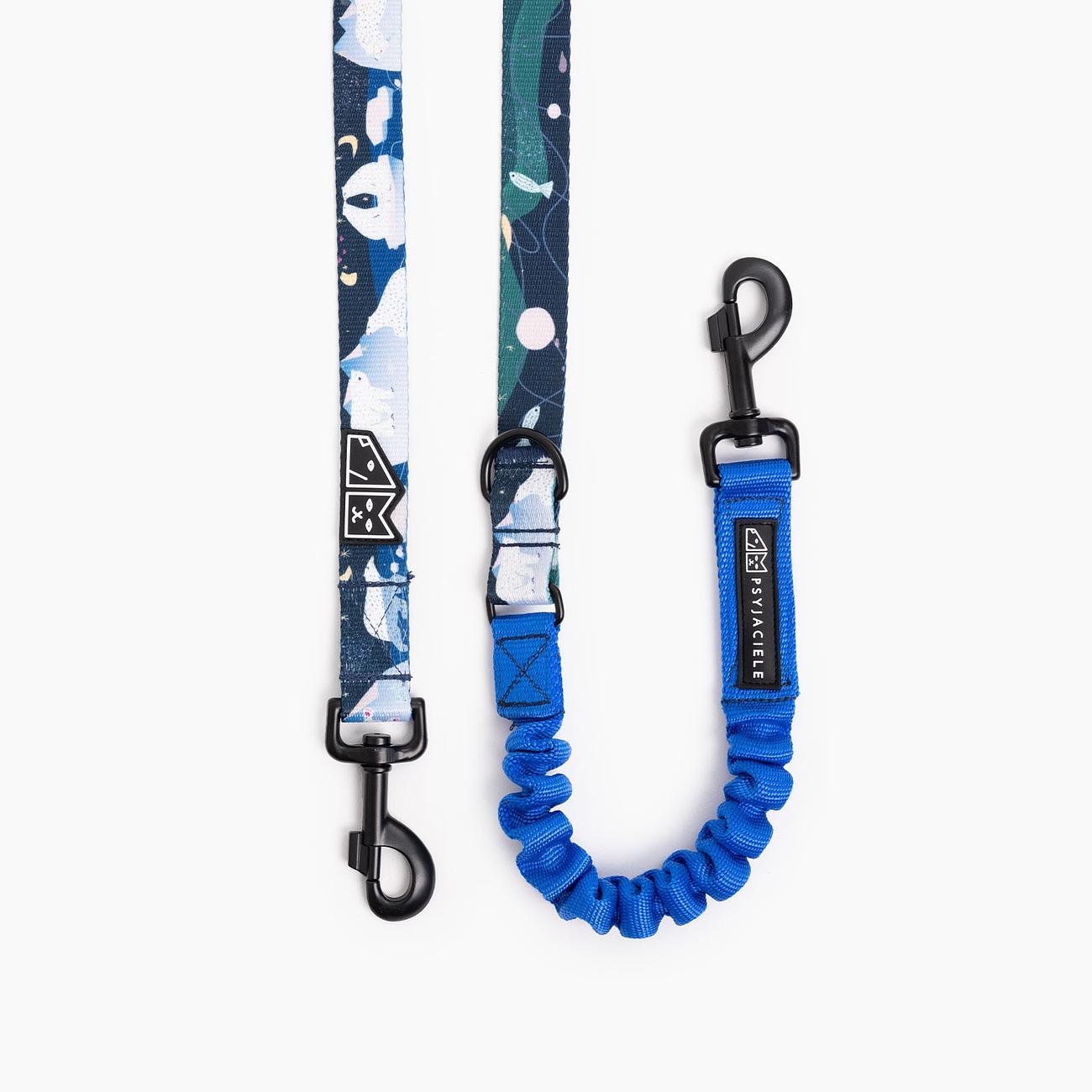 "Polar pattern" leash with a shock absorber