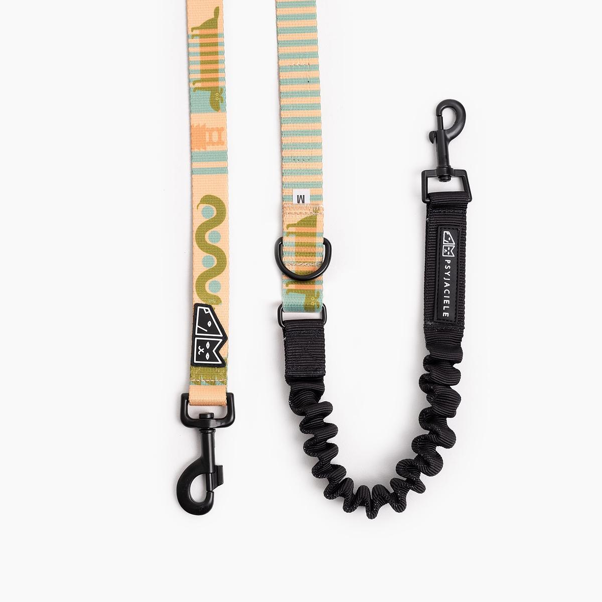 "Sausage dog" leash with a shock absorber