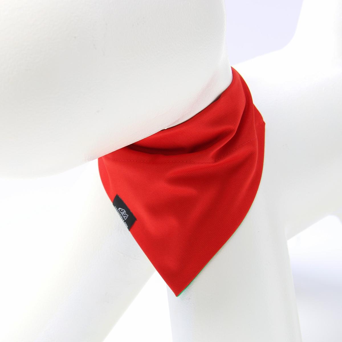 Bandana "Red as a beet" collar
