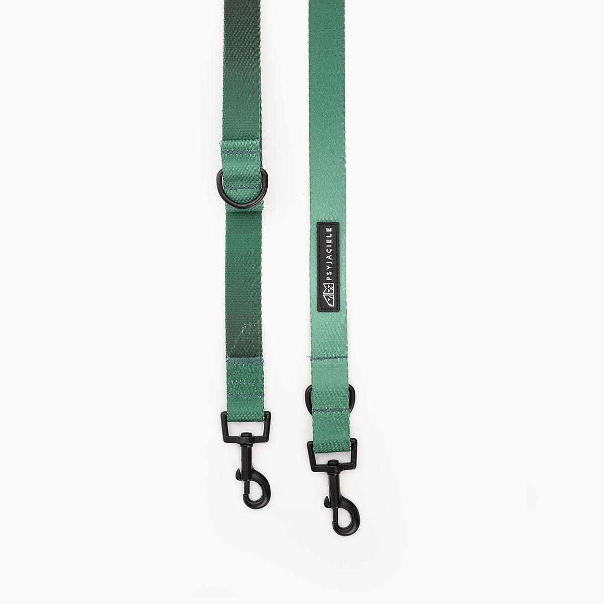 Adjustable leash "Under my umbrella" green 