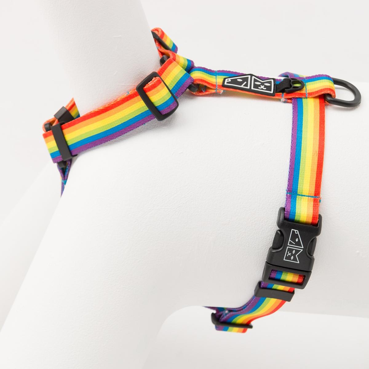 "Love, Equality, Teethers" dog or cat harness