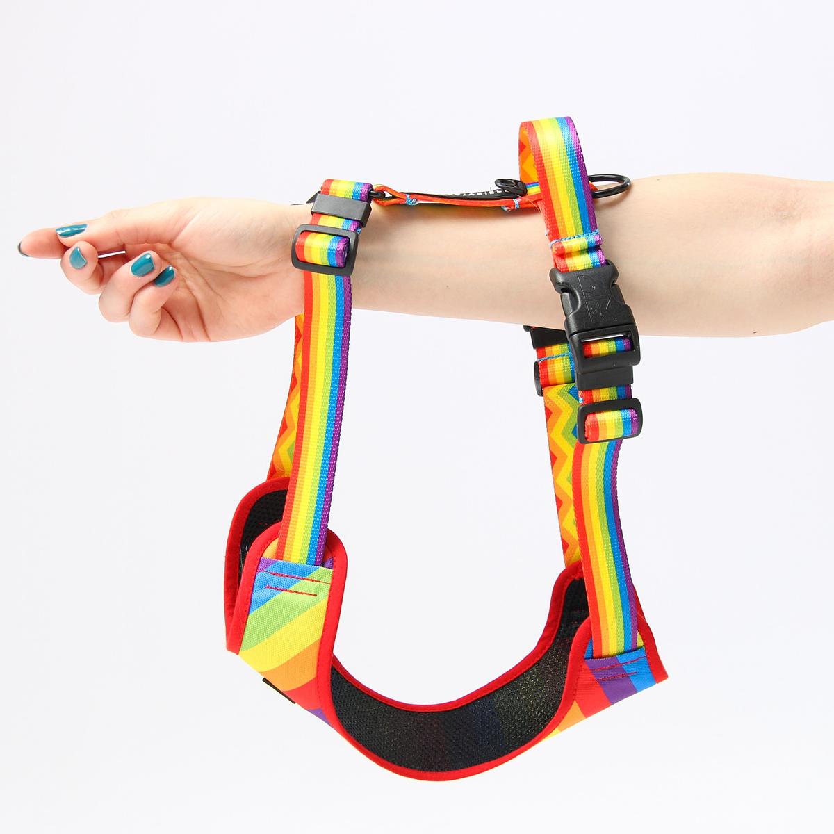Stay-on pressure-free harness "Love, Equality, Teethers"