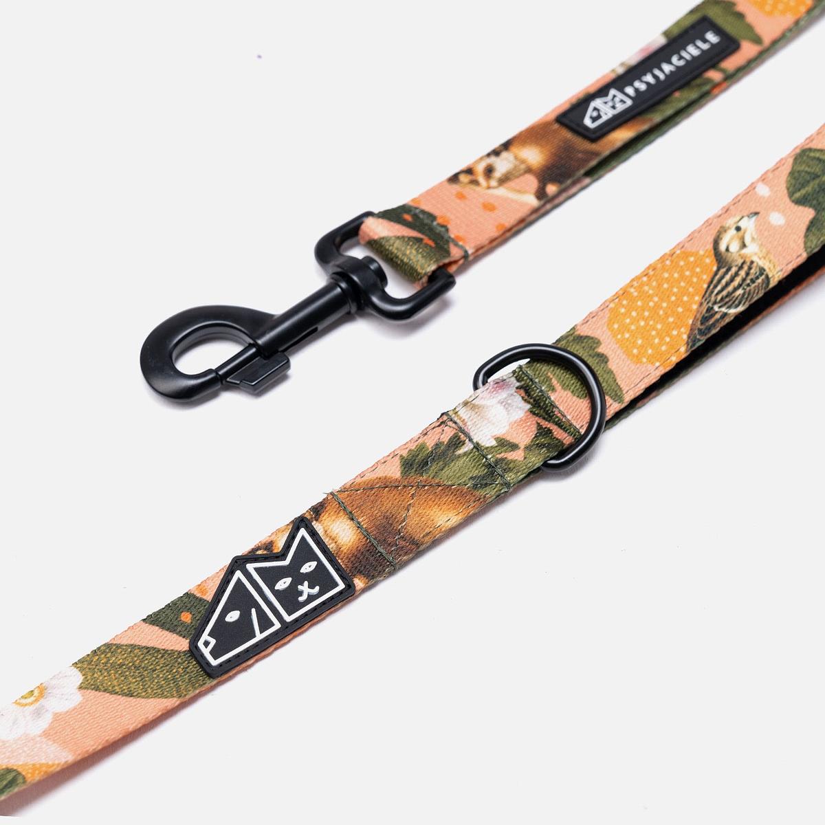 "Play with my nuts" city leash