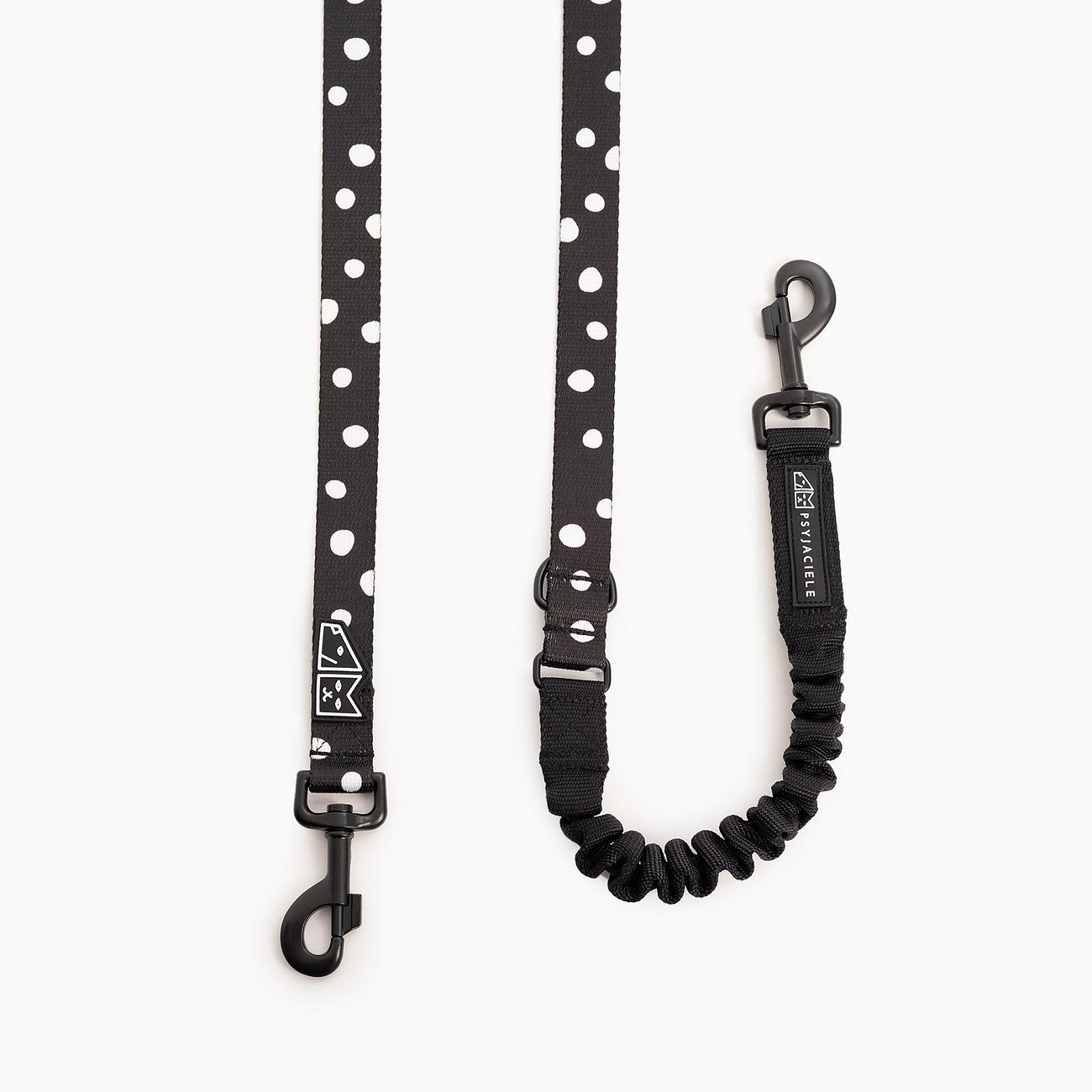 "Adopt the dot" leash with a shock absorber