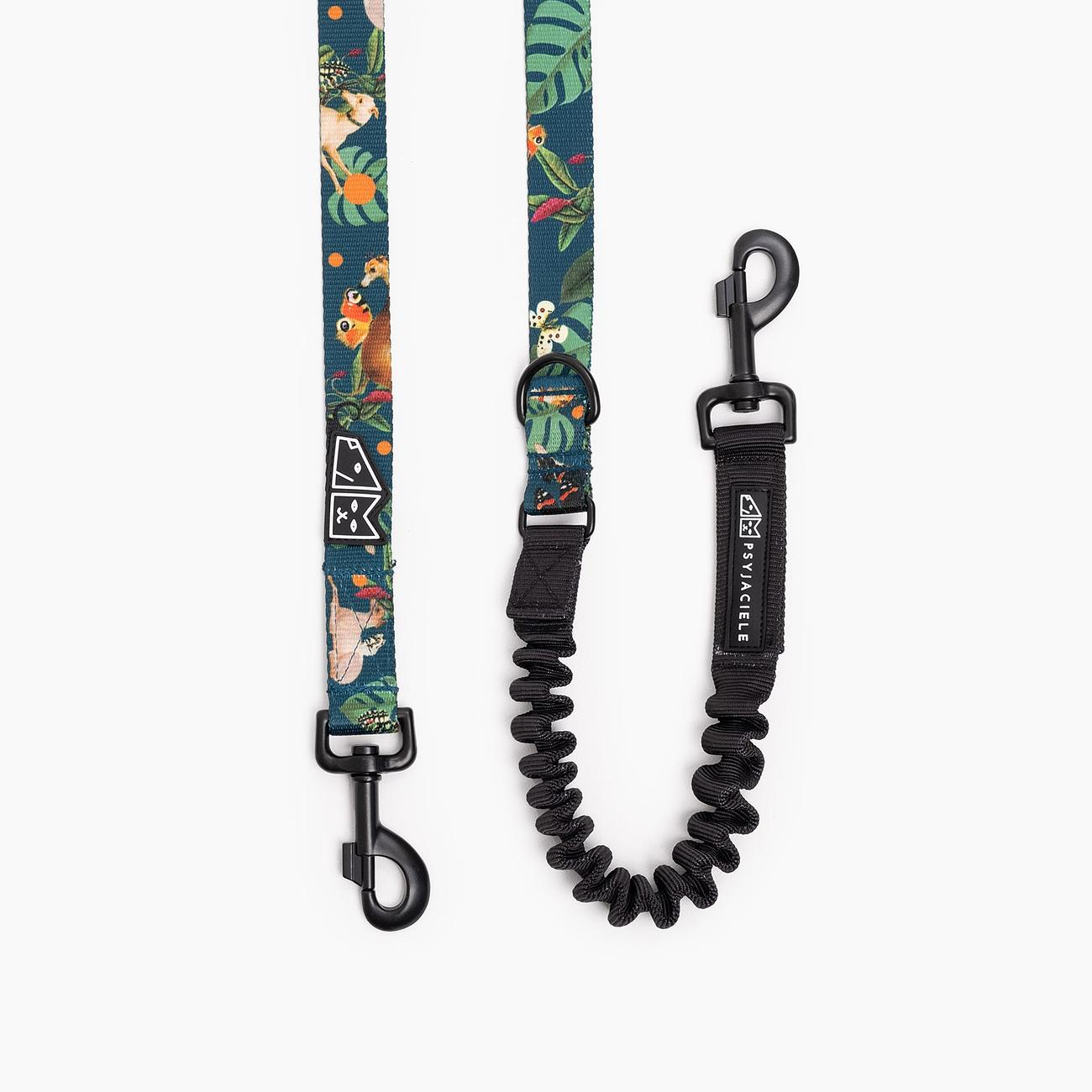 "Dogollage" leash with a shock absorber