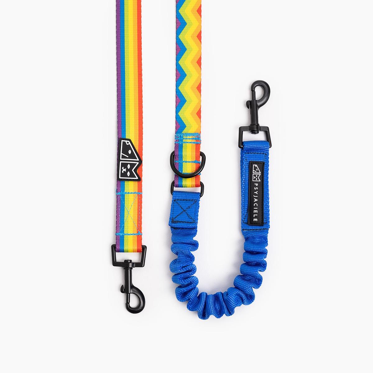 "Love, Equality, Teethers" leash with a shock absorber