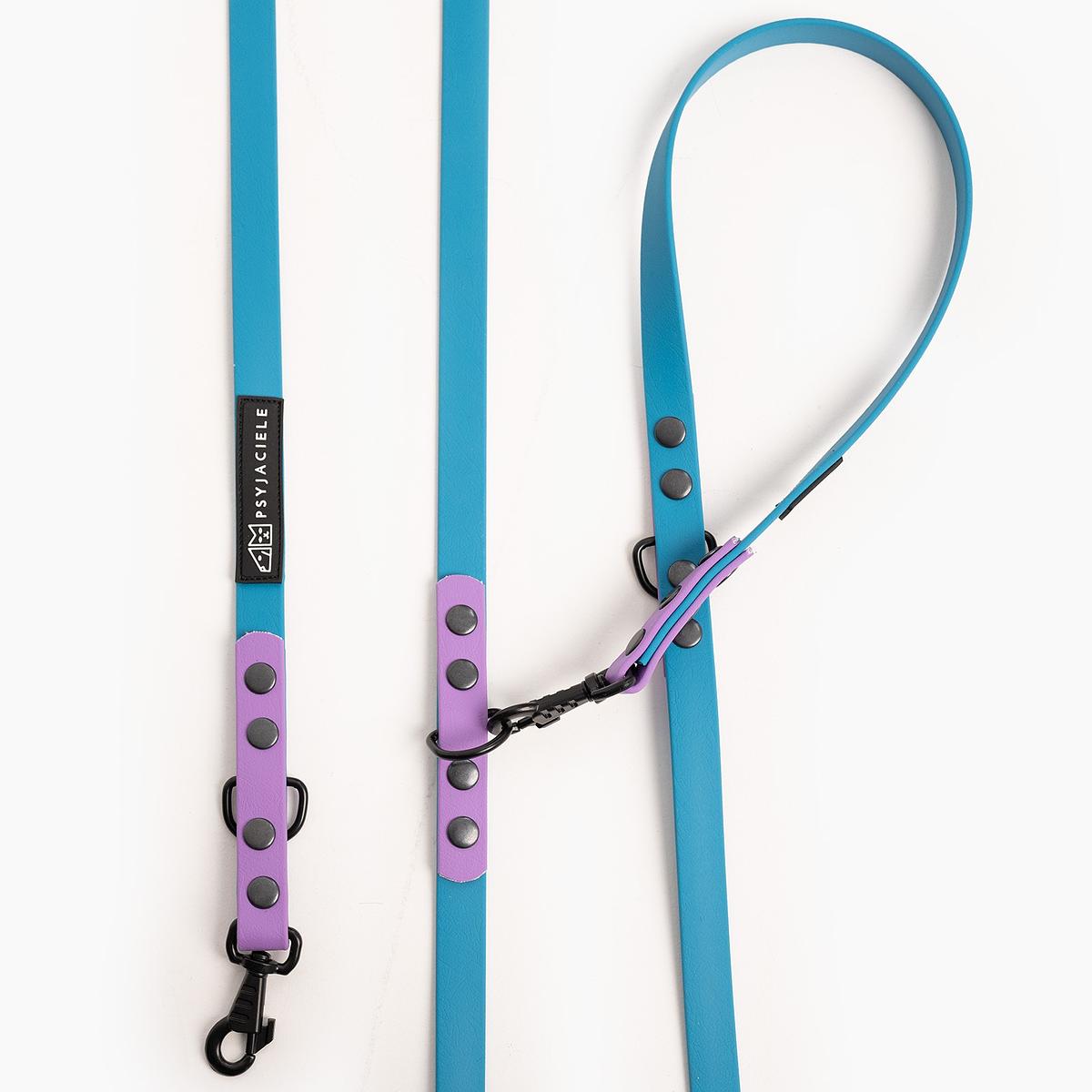 "Turquoise with Lilac" Biothane® leash